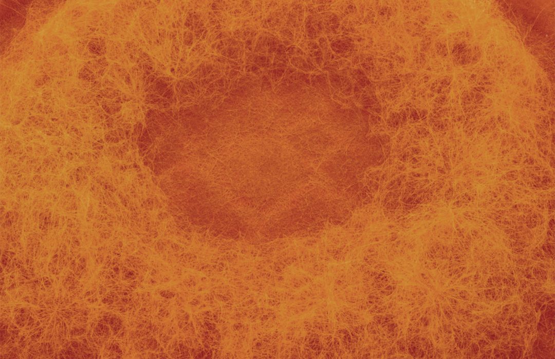 mold-4